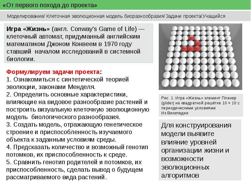 Клеточный автомат. Клеточные автоматы моделирование. Одномерный клеточный автомат. Клеточные автоматы в биологии. Клеточный автомат жизнь.