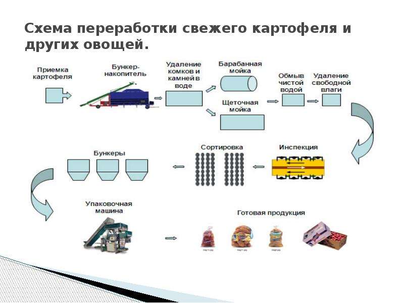 Отходы картофеля. Рециклинг схема. Схема переработки продукта без растаможки. Отход по схеме на 300.