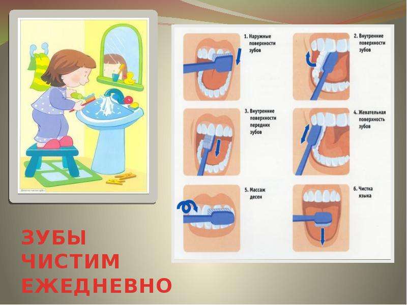 Картинки Чтение Мигунова Почему Надо Чистить Зубы