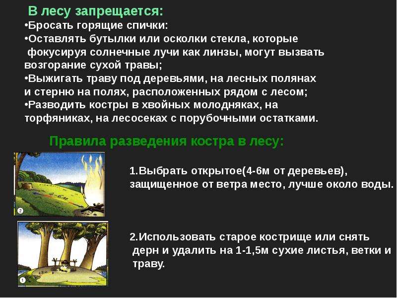 Подбросить углей семи тысячами наиболее удачно положите на стол несколько яблонь