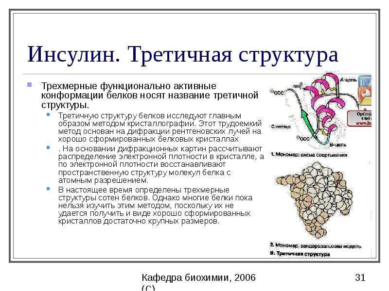 Белки и пептиды презентация