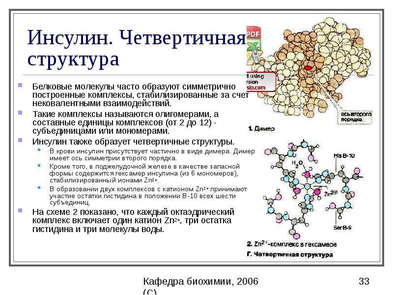 Белки и пептиды презентация