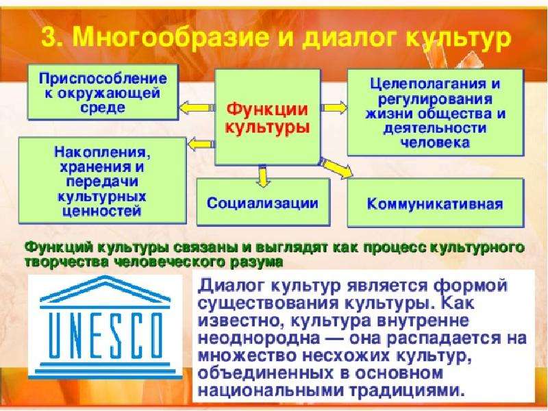 Многообразие и диалог культур план