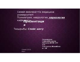 Спайс шегу