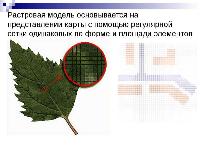 Растровое изображение представляет собой