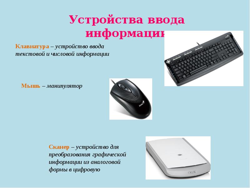 Перечислите устройства относящиеся к устройствам вывода. Устройства ввода информации. Устройство ввода устройства. Устройства вывода клавиатура мышь.