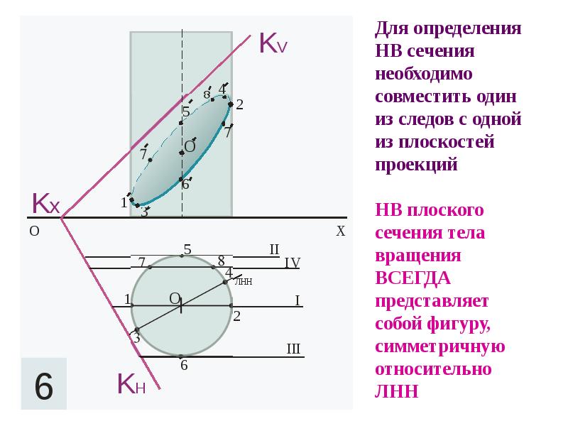 Сечения тел вращения плоскостью