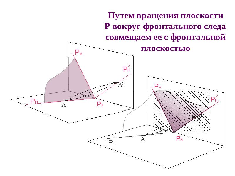 Фронтальная проекция принадлежащих фронтальной плоскости