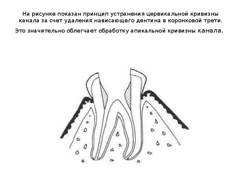 Покажи принцип