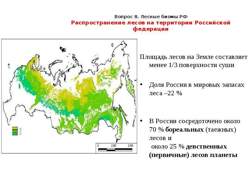 Биомы суши карта