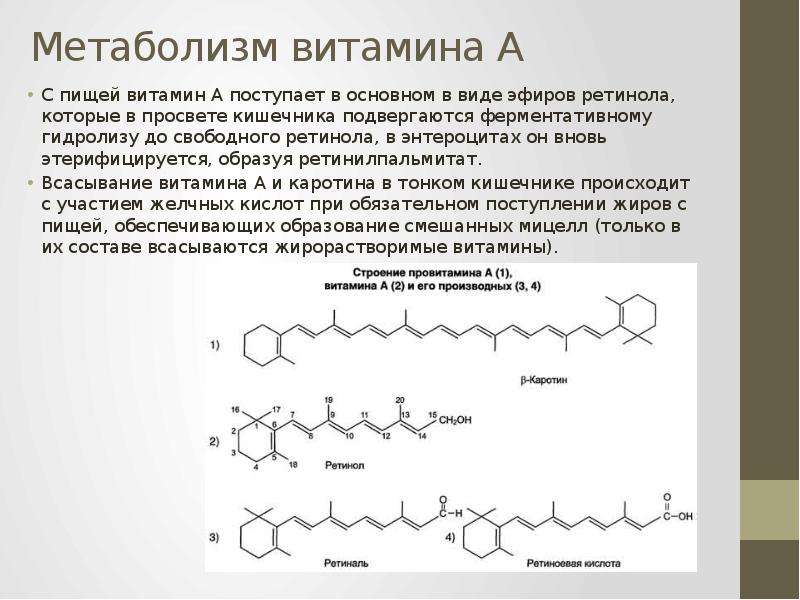 Витамины обмен веществ тест