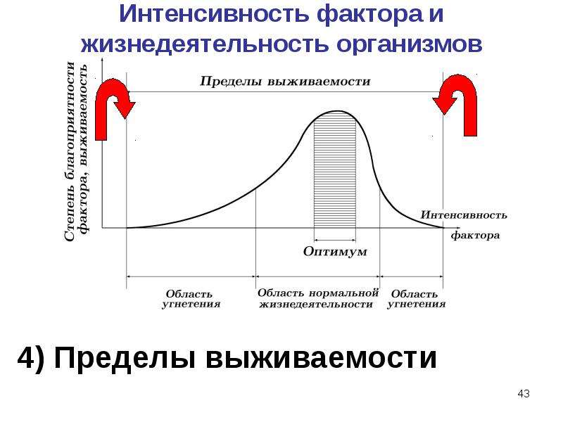 Интенсивность фактора наиболее благоприятная для жизнедеятельности