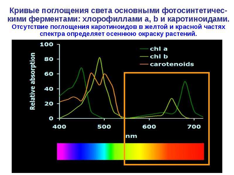 На рисунке представлены два экспериментально полученных графика для спектра солнечного излучения