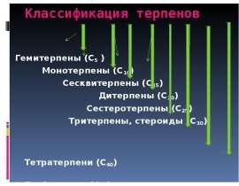 Классификация терпенов
