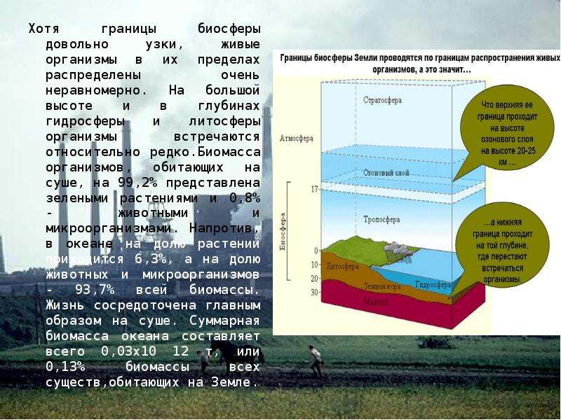 Верхняя граница биосферы находится в. Границы биосферы в гидросфере. Граница биосферы глубина. Высота верхней границы биосферы. Границы биосферы в пределах атмосферы.