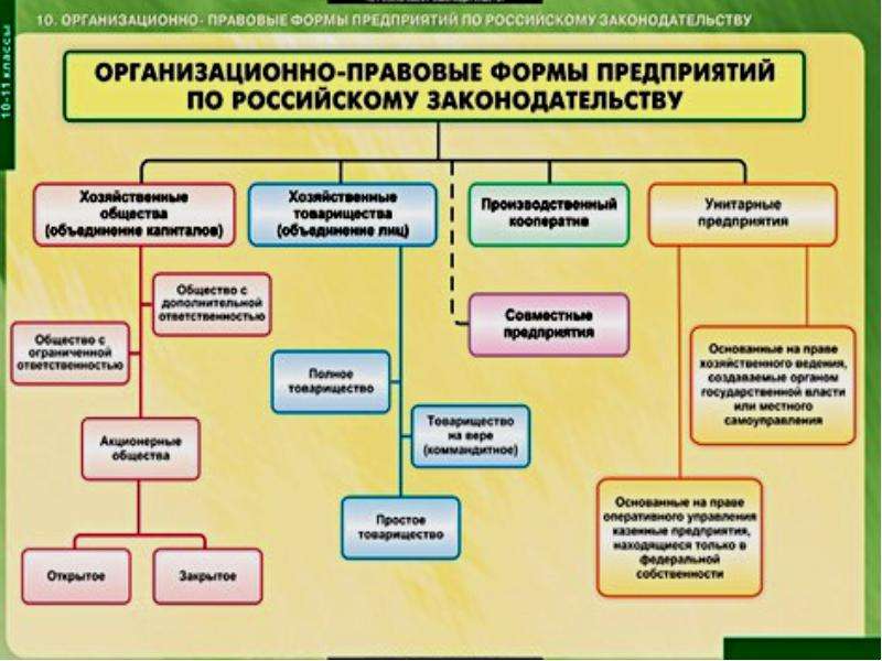 Организационно правовая форма картинки