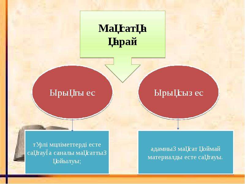 Ес туралы презентация