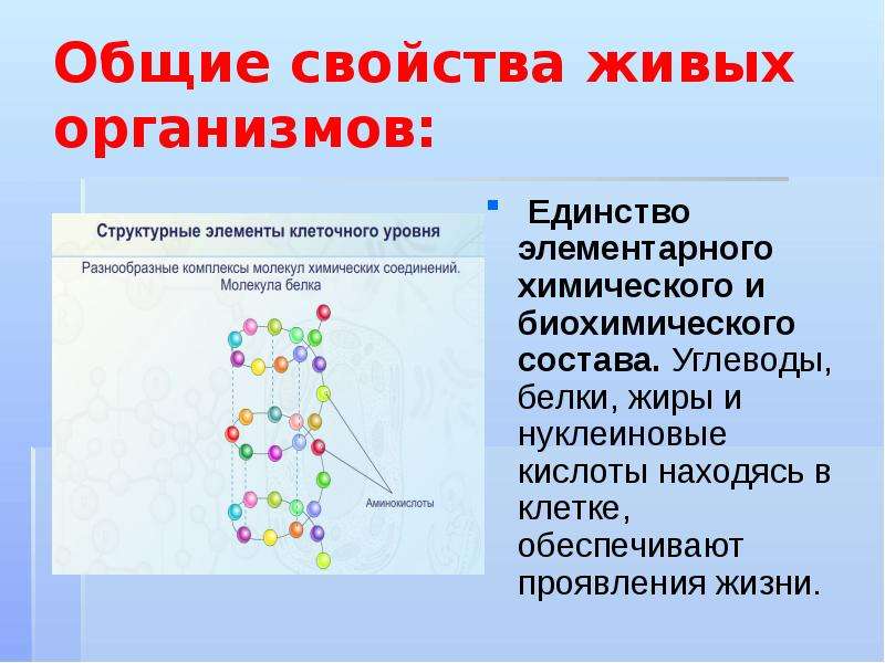 Свойства живых организмов презентация