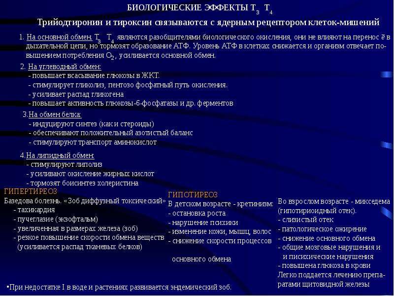 Заболевание при недостатке тироксина. Влияние тироксина на углеводный обмен. Влияние тироксина на обмен белков. Влияние тироксина на белковый обмен. Влияние тироксина на метаболизм.