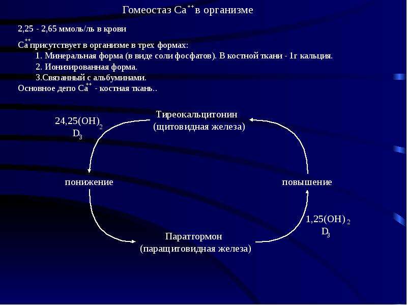 Гомеостаз уровни. Гомеостаз железа в организме. Гомеостаз организма схема. Гомеостаз биохимия. Паратгормон биохимия.