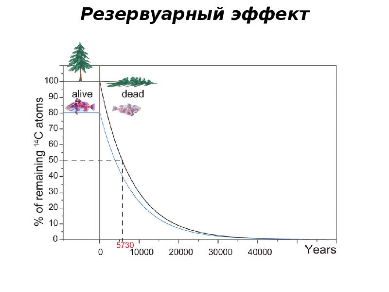 Радиоуглеродный анализ картинки