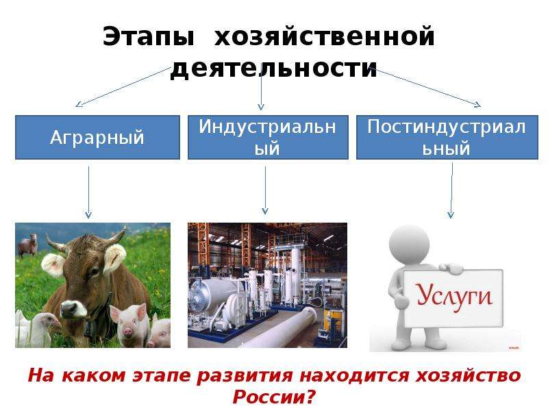 Хозяйственная деятельность человека презентация 5 класс биология