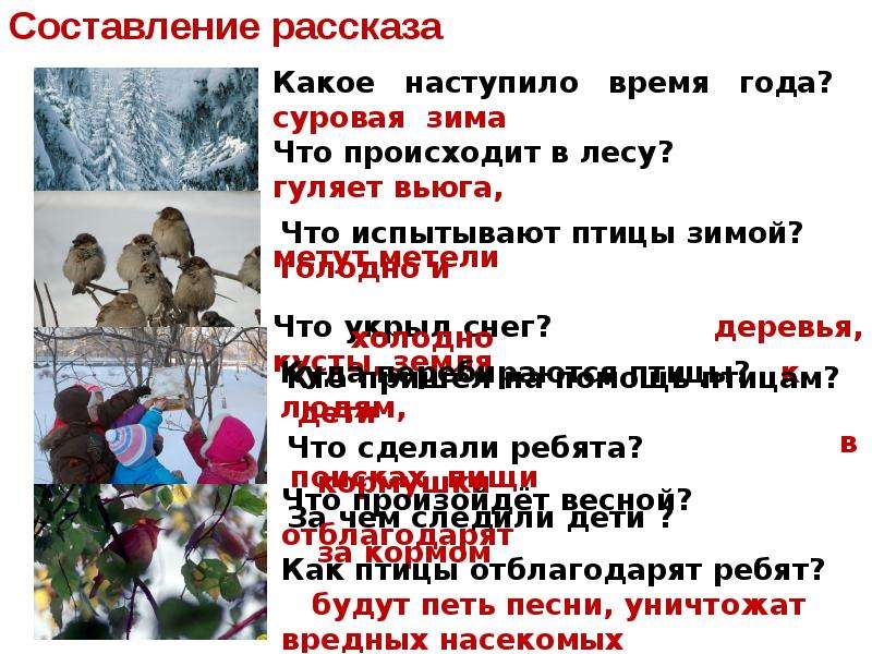 Сочинение птица года