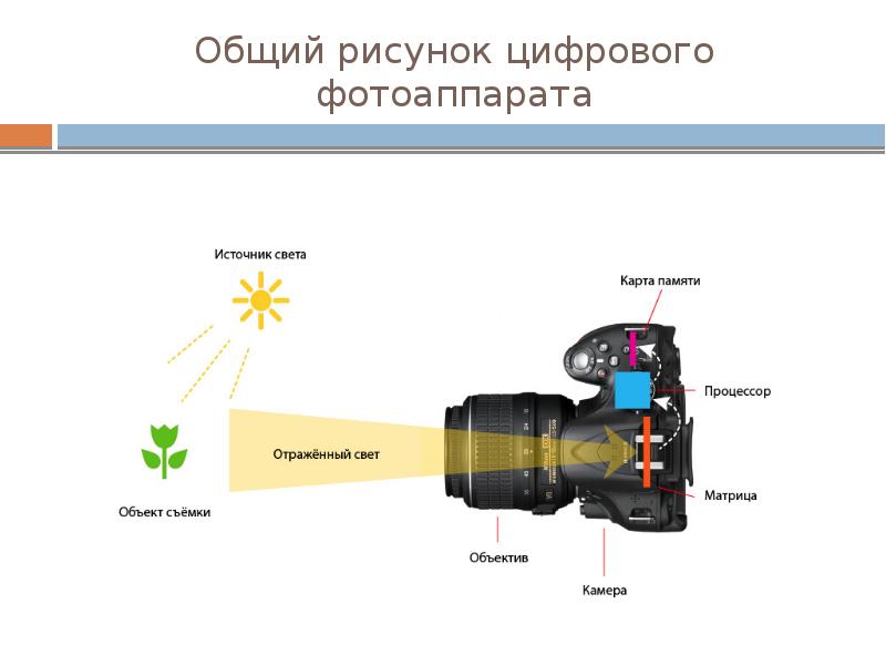 Общий рисунок цифрового фотоаппарата