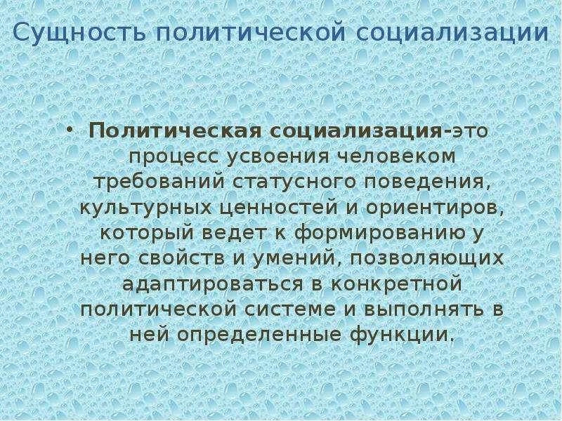 Политическая социализация