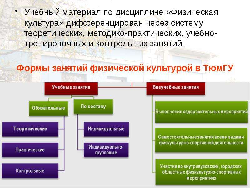 Дисциплина физическая культура