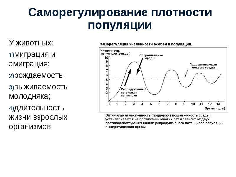 Популяция стабильна если она имеет