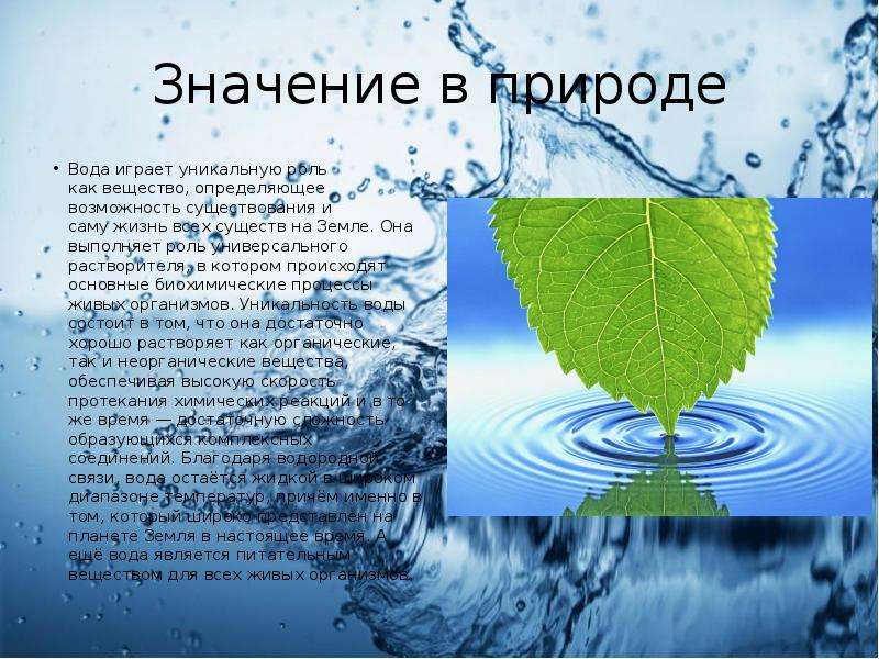 Экология воды проект