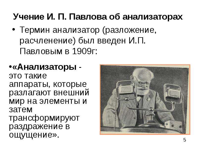 Кто разработал учение. Учение и.п. Павлова об анализаторах. Термин анализатор ввел. Понятие об анализаторах ввел. Кто разработал учение об анализаторах.