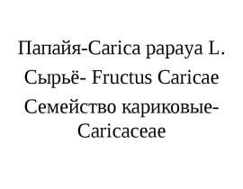 Папайя-сarica papaya L. Сырьё - fructus caricae. Семейство кариковые caricaceae