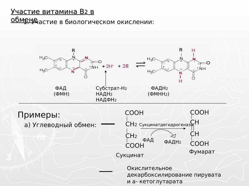 Участие б. Витамин в2 формула кофермента. ФАД фадн2. Кофермент витамина в2. ФАД фадн2 строение.