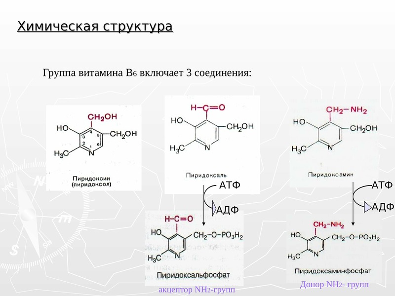 Витамины презентация биохимия