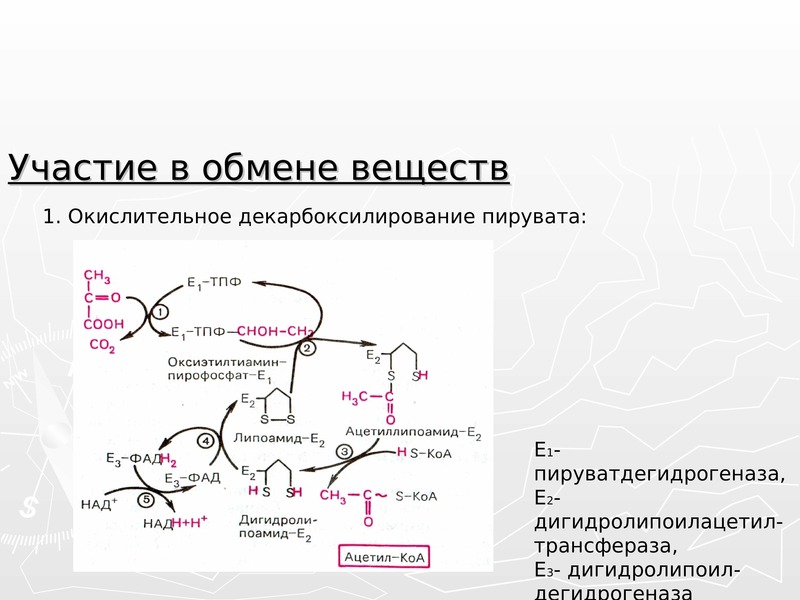 Витамин е презентация по биохимии