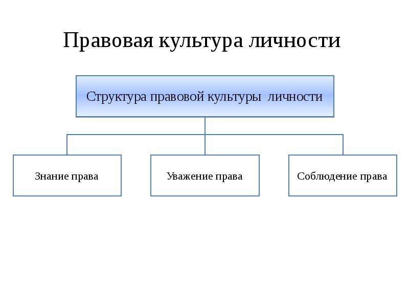 Законодательная структура. Элементы правовой культуры личности. Роль правовой культуры для личности. Структура правовой культуры общества. Принципы правовой культуры.