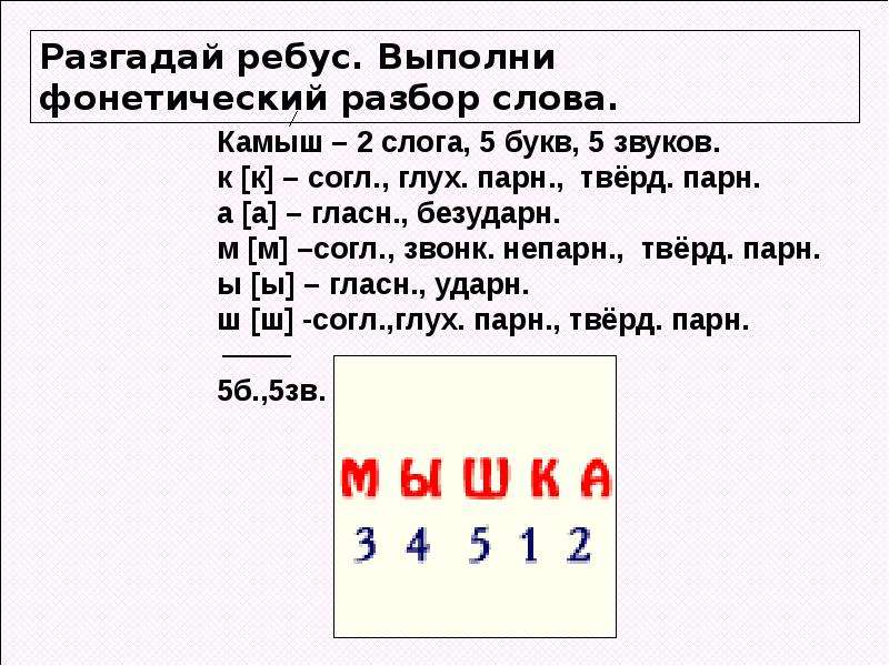 Сколько букв в слове мышь. Как делается звуко буквенный анализ слова. Звуко-буквенный разбор слова. Буквенно-звуковой разбор. Разбор звуко буквенный разбор слова.