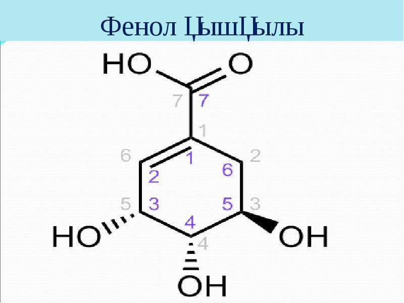 Фенол презентация 10 класс