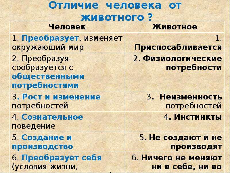 Различия человека