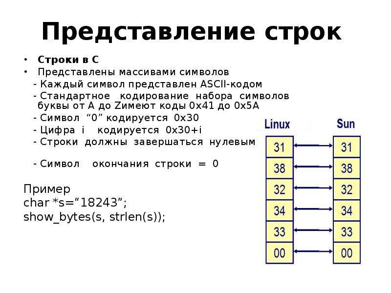 Компьютерный бит состоит из