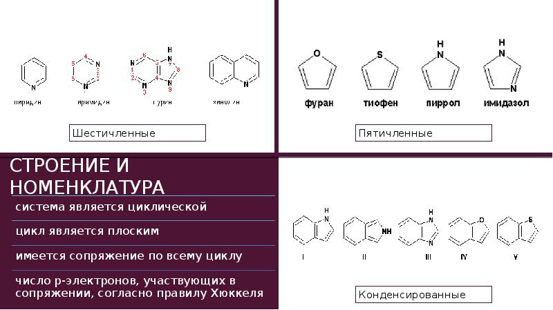 Конденсированные гетероциклические соединения презентация