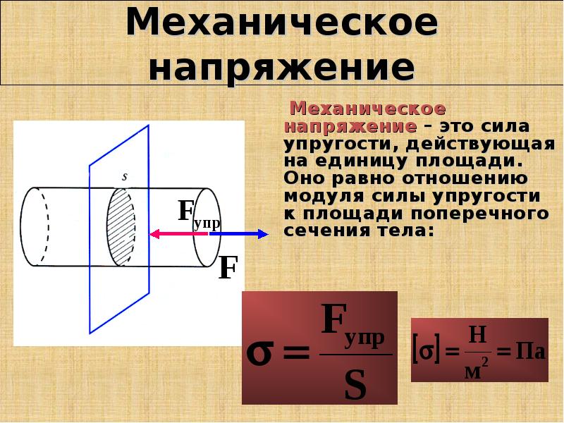 Единица силы упругости