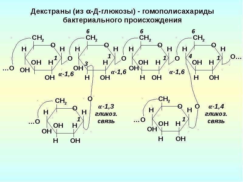 Полисахариды биохимия презентация