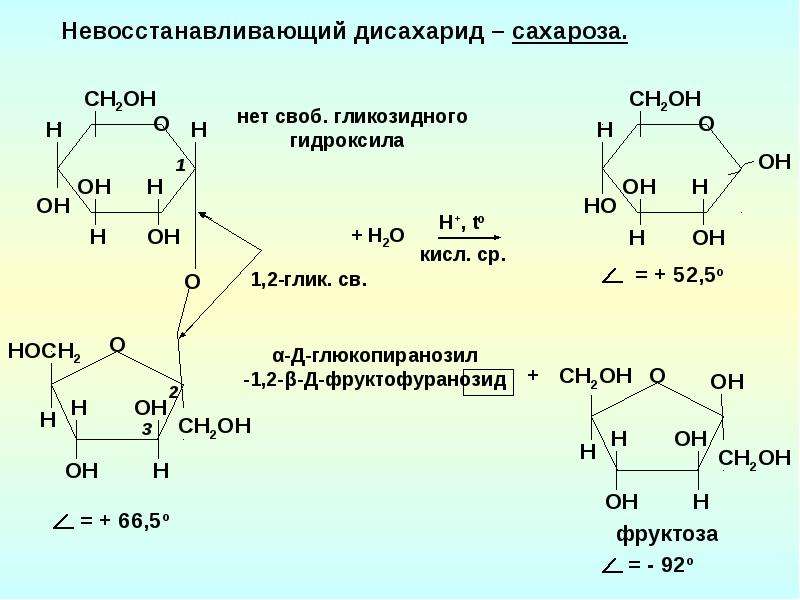 Схема образования дисахаридов