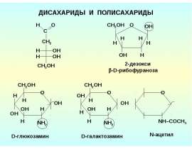 Дисахариды и полисахариды
