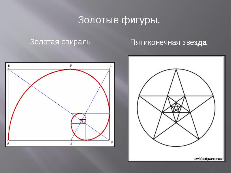 Золотое сечение бога. Золотое сечение. Композиция на тему золотое сечение. Золотая спираль. Рисунок на тему золотое сечение.