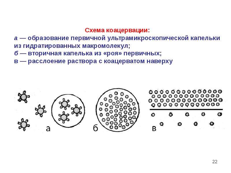 Коацерваты это кратко. Микрокапсулирование методом коацервации. Физико-химические методы микрокапсулирования. Схема коацервации. Коацервация ВМС.