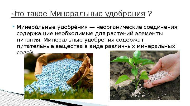 Использование минеральных удобрений презентация